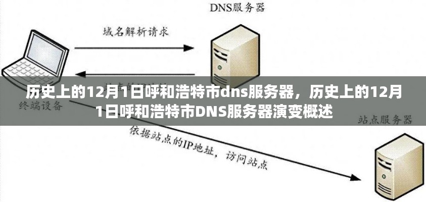 历史上的12月1日呼和浩特市DNS服务器演变概览