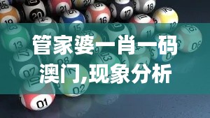 管家婆一肖一码澳门,现象分析解释定义_领航版59.33