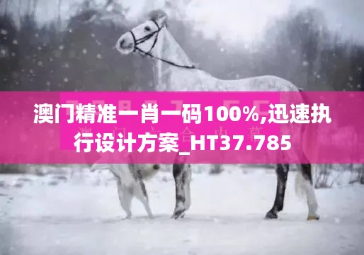 澳门精准一肖一码100%,迅速执行设计方案_HT37.785