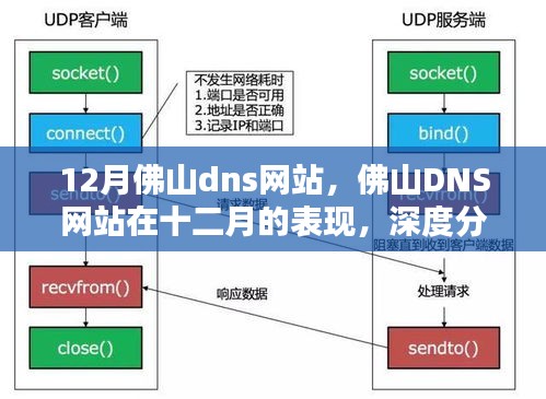 建议，十二月佛山DNS网站表现深度分析与个人观点分享