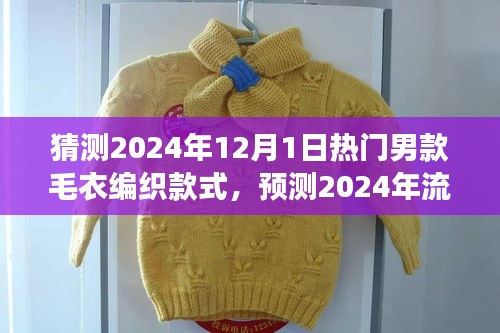 2024年流行趋势展望，男款毛衣编织款式创新与流行趋势分析