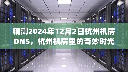 杭州机房DNS猜想之旅，2024年的一次奇妙时光探索