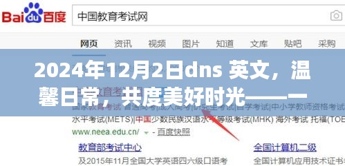 温馨日常与DNS冒险之旅，共度美好时光