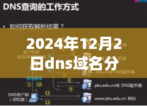 探秘小巷深处的隐藏宝藏，特色小店的DNS域名分类之旅（2024年）