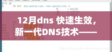 新一代DNS技术，十二月之选，极速响应重塑生活体验
