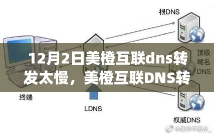 美橙互联DNS转发延迟问题解析，原因、影响与应对措施，12月2日为何出现延迟？