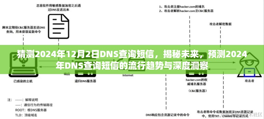 揭秘未来趋势，预测与深度洞察2024年DNS查询短信的流行趋势与深度洞察揭秘。