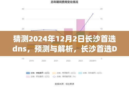 长沙首选DNS 2024年展望与预测解析