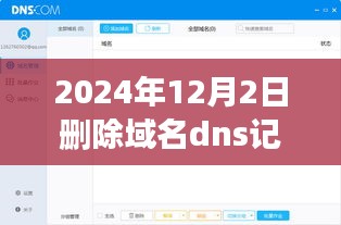 DNS记录失败瞬间，开启成长之门，机遇与挑战并存的成长之旅