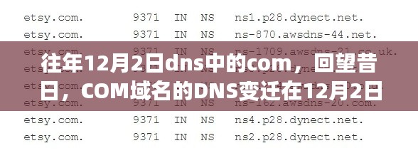 2024年12月4日 第13页