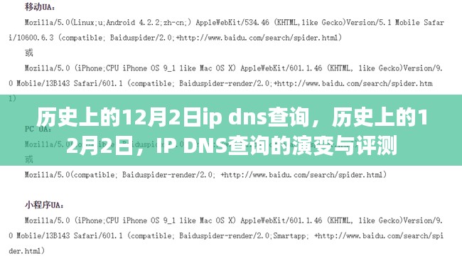 历史上的IP DNS查询演变与评测，聚焦十二月二日的发展与挑战