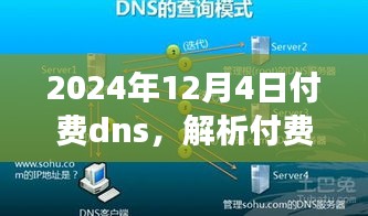 以2024年视角解读付费DNS服务，深度探讨其观点与解析