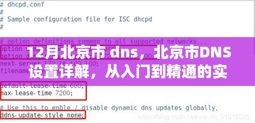 北京DNS设置详解，从入门到精通的实操指南