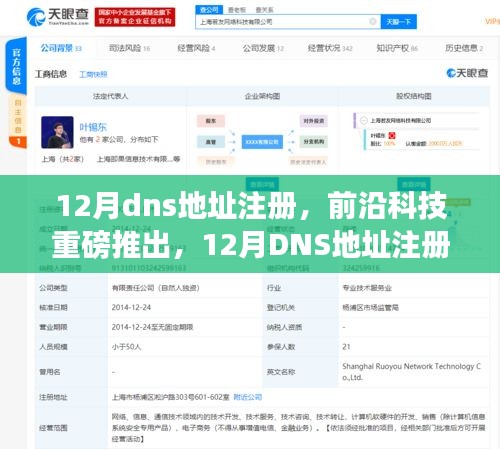 重磅推出，前沿科技引领智能生活，全新体验12月DNS地址注册