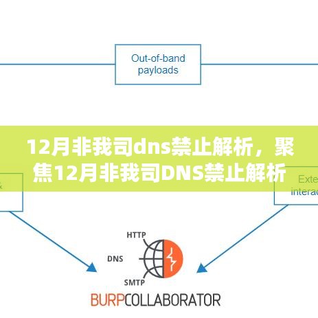 关于非我司DNS禁止解析的深入解析与观点阐述