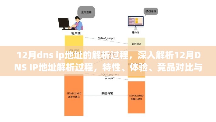 深入解析，12月DNS IP地址解析过程、特性、体验、竞品对比及用户群体分析