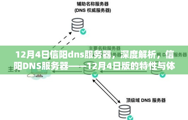 深度解析，信阳DNS服务器特性与体验——以12月4日版为例