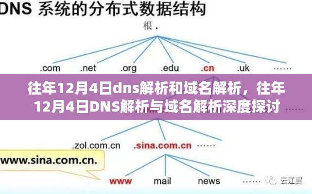 往年12月4日DNS解析与域名解析专题探讨