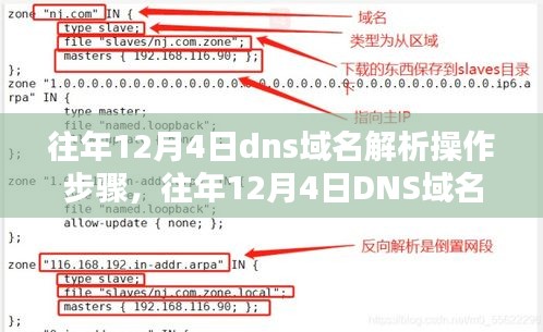 往年12月4日DNS域名解析操作步骤详解及指南