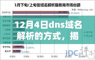 揭秘，深度解析DNS域名解析三大要点，掌握域名解析方式（12月4日）