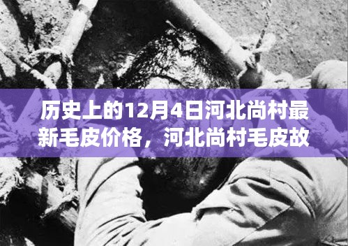 河北尚村毛皮故事，回顾历史毛皮价格与温馨日常回忆的交织日——12月4日最新毛皮价格纪实