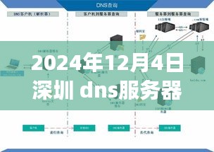 深圳DNS服务器革新篇章，2024年高科技体验之旅的启示