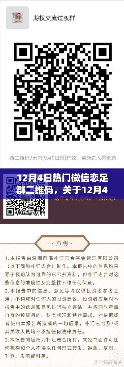 警惕网络风险，揭秘热门微信恋足群二维码，避免涉黄陷阱测评与介绍