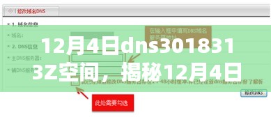 揭秘数字时代神秘领域，12月4日dns3018313Z空间的探索