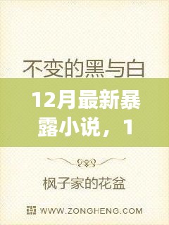 12月最新暴露小说，学习之旅中的自信与成就感魔法