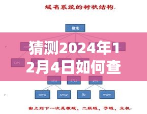 探究未来，如何查看网络DNS服务器地址——我的观点，以2024年12月4日为时间节点