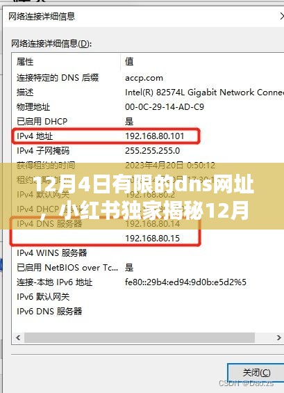 小红书独家揭秘，最新DNS网址大全助你稳定网络连接！