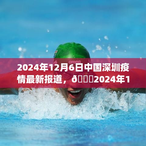 2024年12月6日深圳疫情最新进展深度解读，小红书社区实时反馈与疫情动态