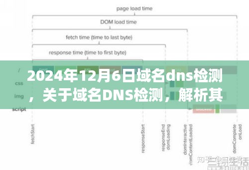 域名DNS检测解析，重要性及未来展望（2024年12月6日）