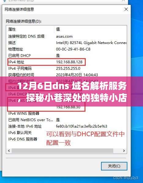 探秘小巷深处的独特小店，揭秘域名解析服务之旅（12月6日）