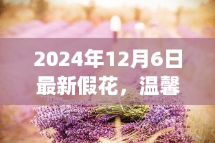 遇见假花的魔法时刻，温馨日常的最新假花欣赏（2024年12月6日）