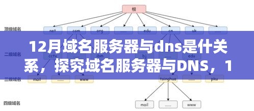 解析域名服务器与DNS在12月的技术关系，深度探究二者关系