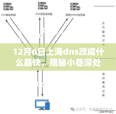 上海隐藏版DNS宝藏，探寻网络奇缘的速度极致！