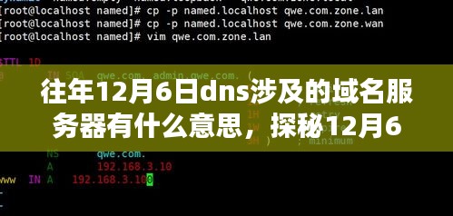 探秘域名服务器，揭秘往年12月6日的DNS与小巷特色小店的独特魅力解析