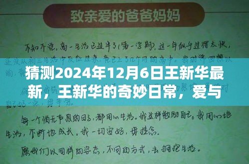 王新华的奇妙日常，爱与陪伴的温馨时光（2024年12月6日最新）