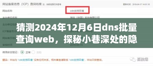 探秘小巷深处的隐藏宝藏，特色小店的DNS批量查询之旅（2024年12月6日）