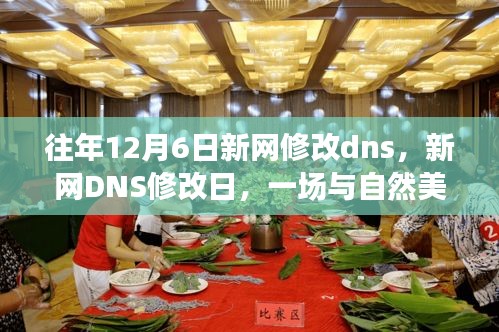 新网DNS修改日，与自然美景的邂逅与内心的平和之旅