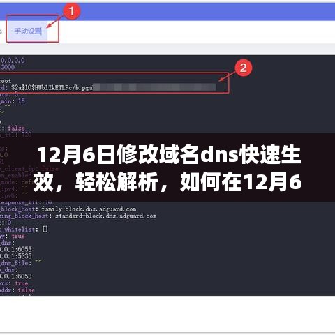 12月6日实现域名DNS快速生效，解析与生效的简易指南