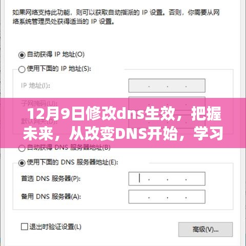 把握未来，改变DNS，学习变化的力量引领成功之路