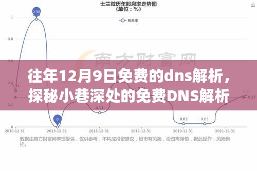 探秘免费DNS解析秘境，特色小店的隐藏之旅