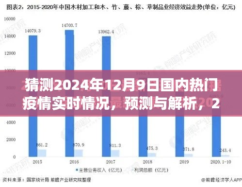 2024年12月9日国内热门疫情实时情况预测与全面评测