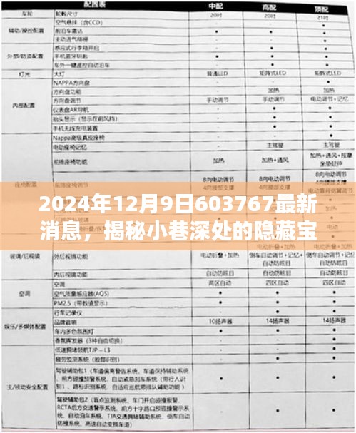 揭秘特色小店非凡魅力，小巷深处的宝藏与独家消息速递（最新消息更新）