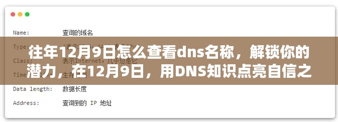 揭秘DNS名称查询方法，解锁潜力，点亮自信之光——在每年的12月9日探索DNS知识之旅