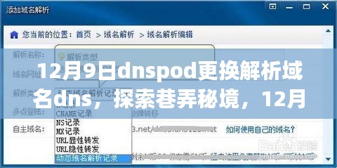 DNSPod域名解析更新，12月9日探索巷弄秘境，解锁独特风味小店的神秘之旅