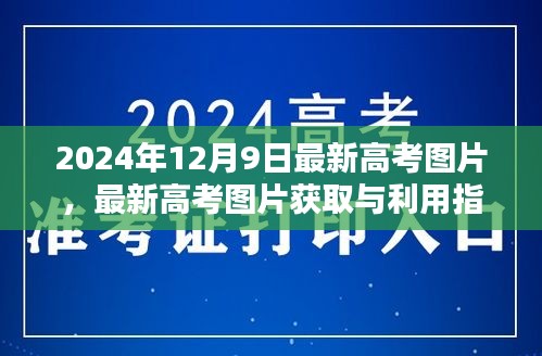 最新高考图片指南，获取与利用高考图片（2024年12月版）