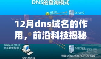 揭秘十二月DNS域名新纪元，重塑网络世界，科技魅力体验之旅